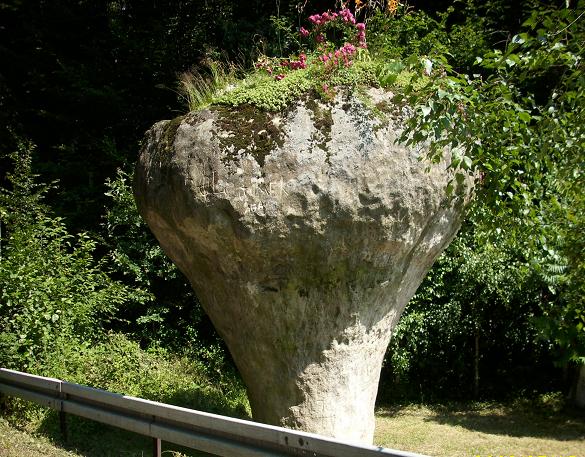 Kamień Grzyb - 0.JPG