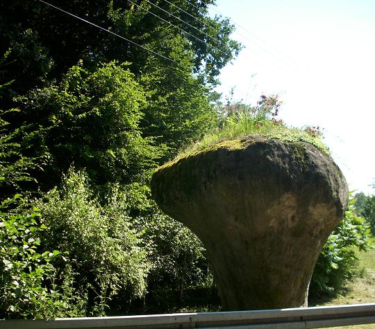 Kamień Grzyb - 6.JPG