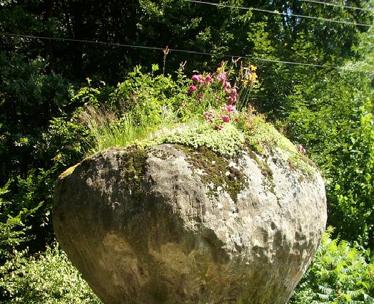 Kamień Grzyb - 8.JPG
