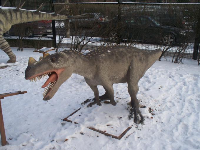 Głodny ceratozaur ze środkowej jury.JPG