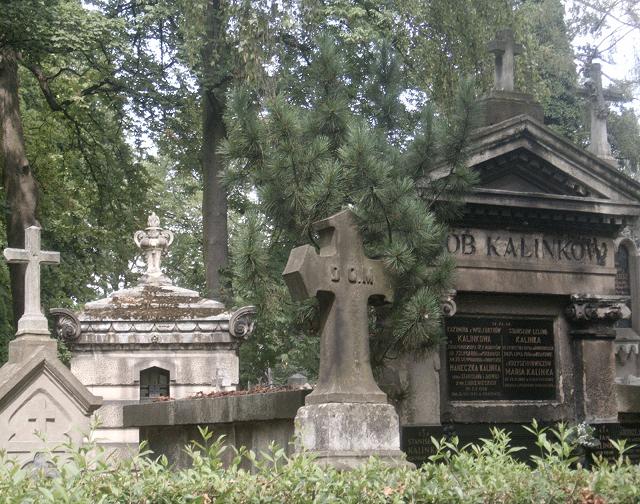 Cmentarz Rakowicki - 14.JPG