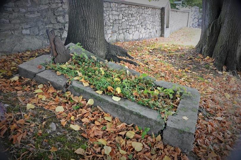Stary cmentarz w Płokach (32).JPG