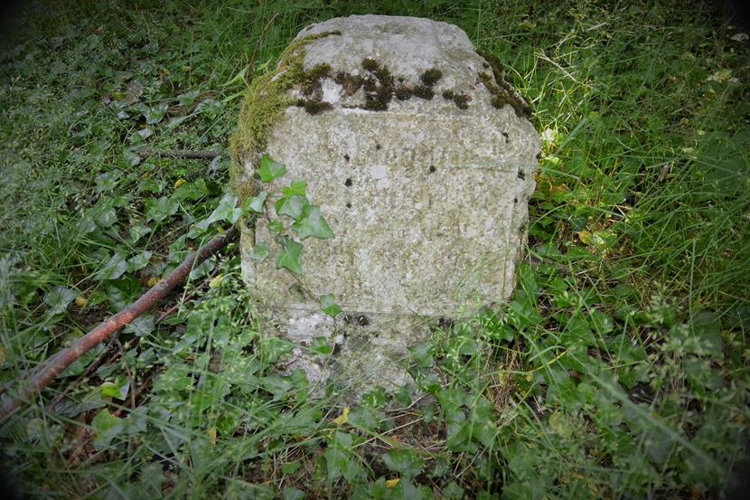 Zborowskie - cmentarz ewangelicki (9).JPG