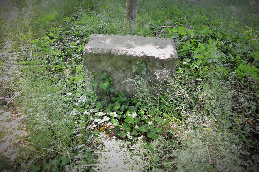 Zborowskie - cmentarz ewangelicki (11).JPG