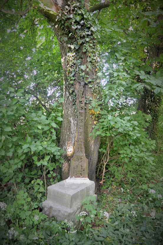 Zborowskie - cmentarz ewangelicki (13).JPG