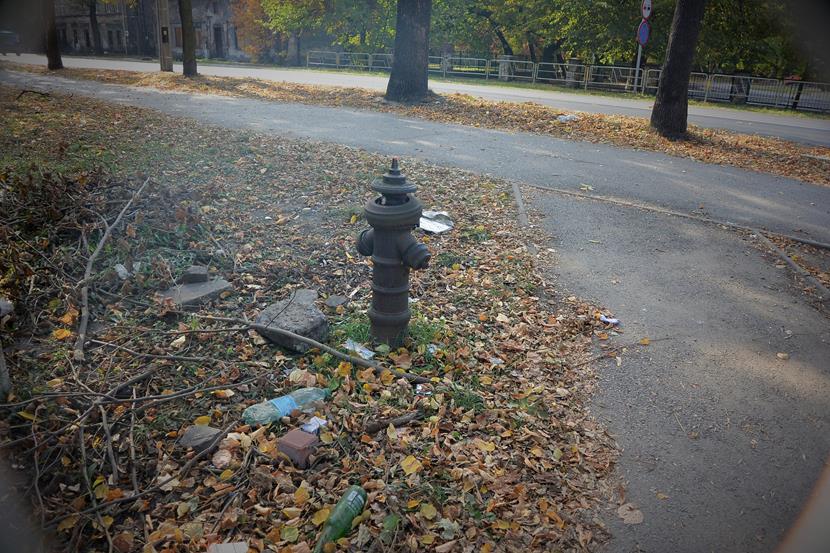 Sosnowiec - przedwojenny hydrant.JPG