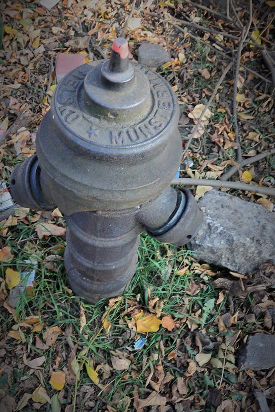 Sosnowiec - przedwojenny hydrant (5).JPG