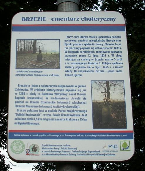 Brzezie - cm. choleryczny - fot. 1.JPG