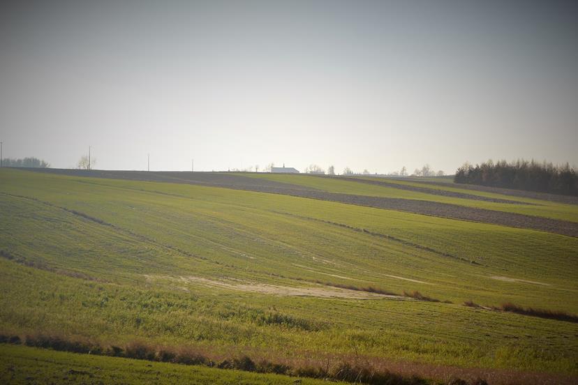 Krzyż ze szrapneli - okolice Jangrotu (7).JPG