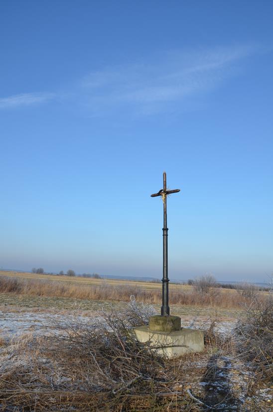 Skała - krzyż przy Rzeplińskiej Drodze (9).JPG
