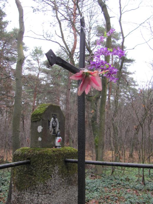 Wrzępia - cmentarz wojenny (6).jpg