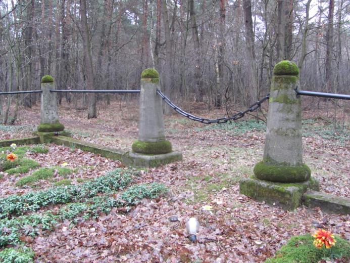 Wrzępia - cmentarz wojenny (8).jpg