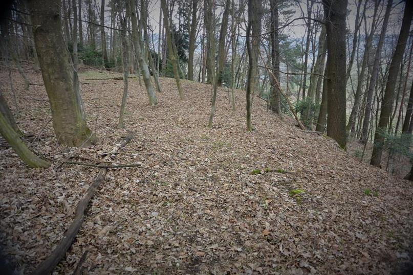 Wybitnie stroma krawędź grodziska, niemal pionowa od północy (6).JPG