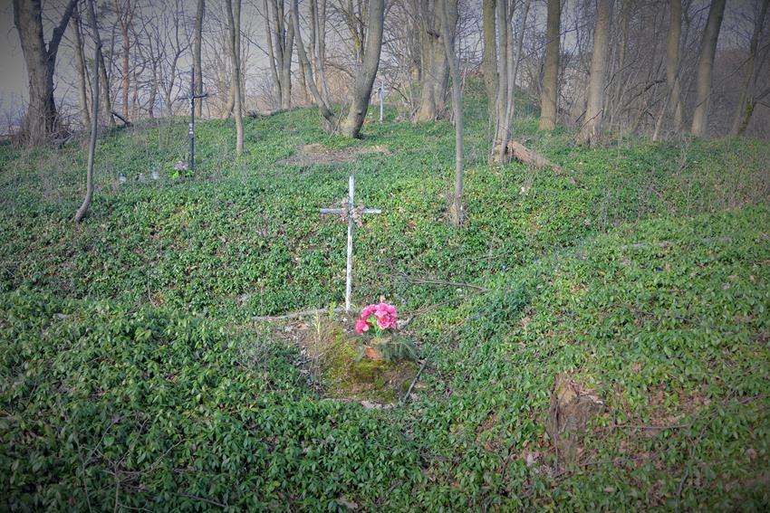 Cmentarz na grodzisku (7).JPG