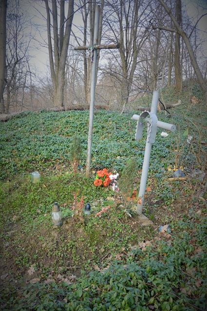 Cmentarz na grodzisku (13).JPG