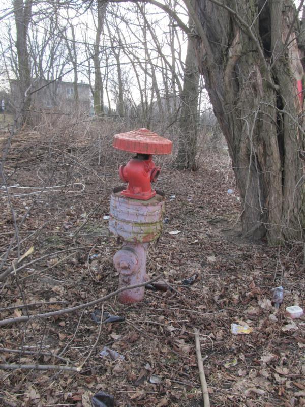 Charsznica - hydrant.jpg