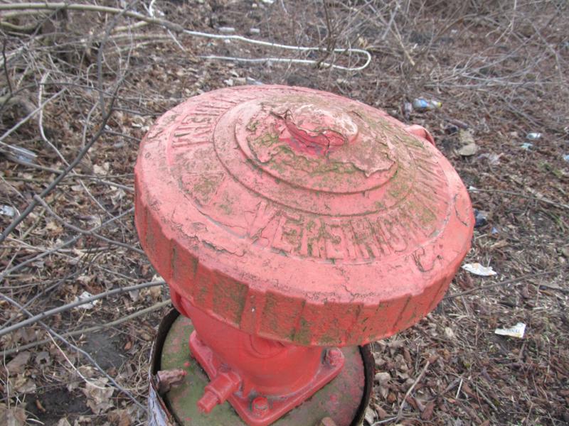 Charsznica - hydrant (1).jpg