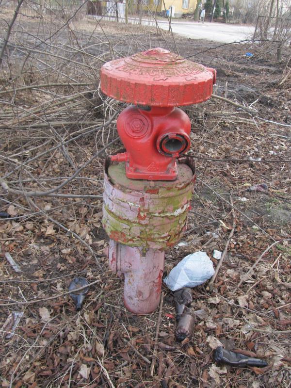 Charsznica - hydrant (2).jpg