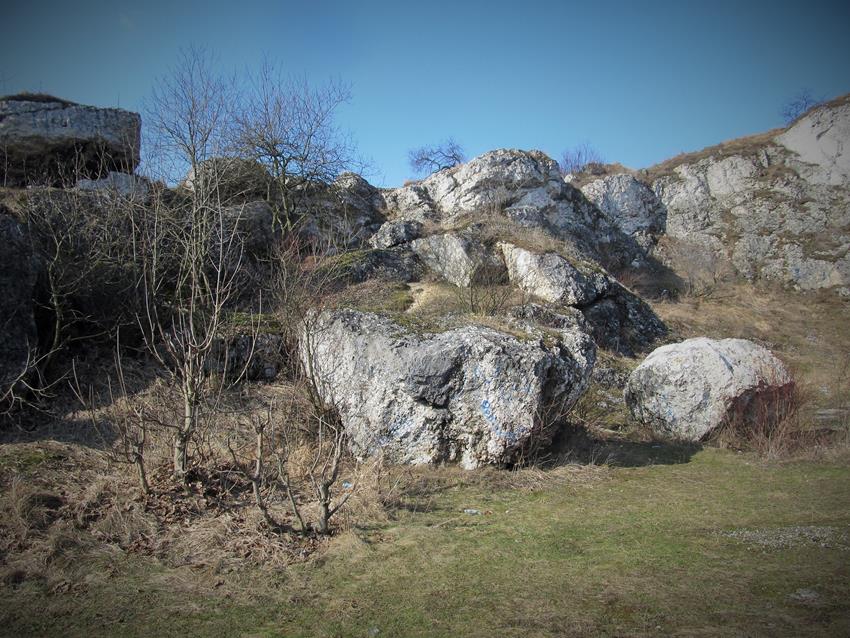 Kamieniołom w marcu 2015 roku (5).jpg