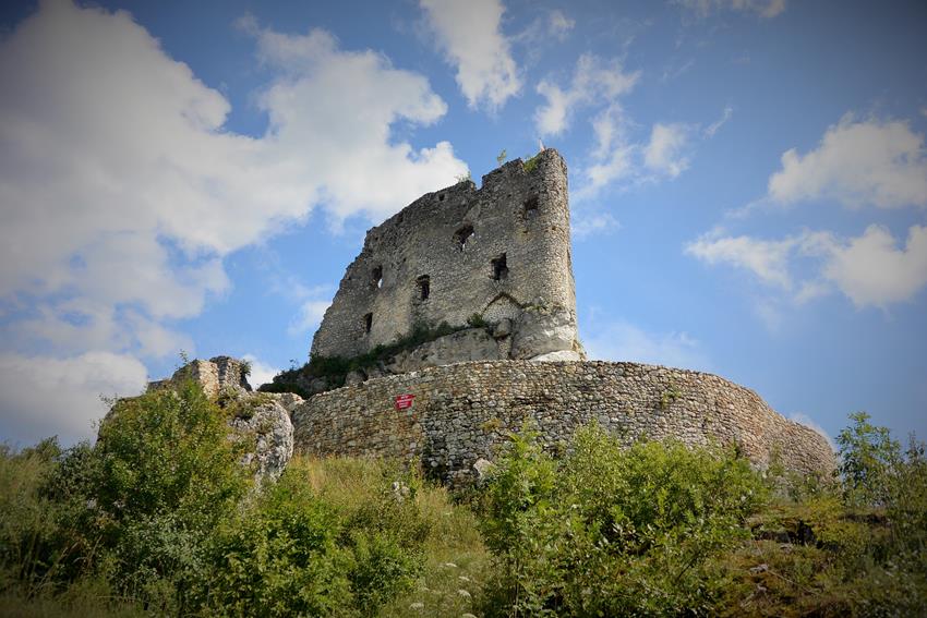 Zamek w Mirowie (4).JPG