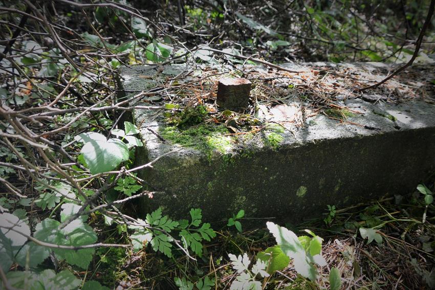 Cmentarz w Kotowicach po akcie wandalizmu (3).JPG