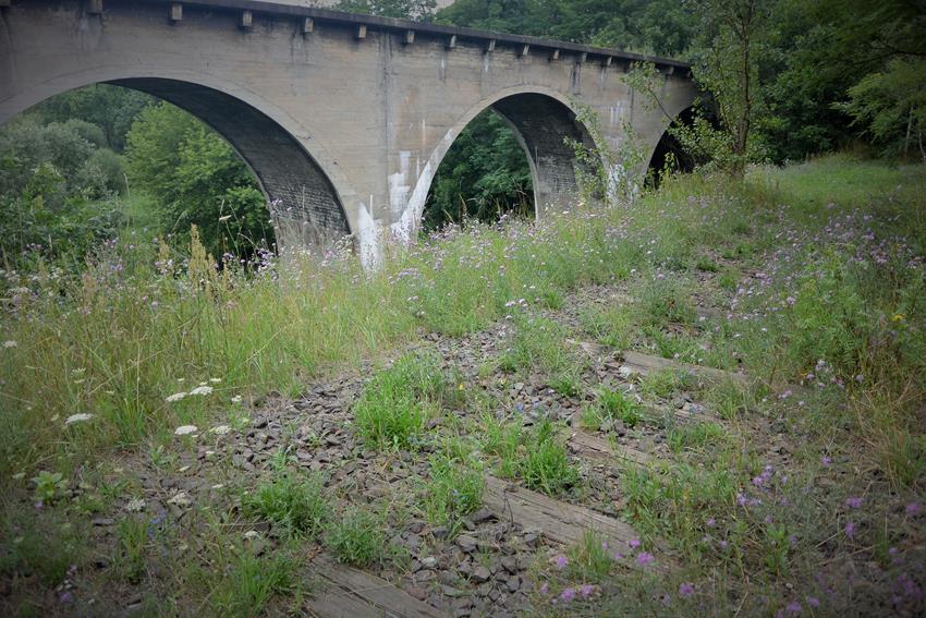 Mosty w Pyskowicach (10).JPG