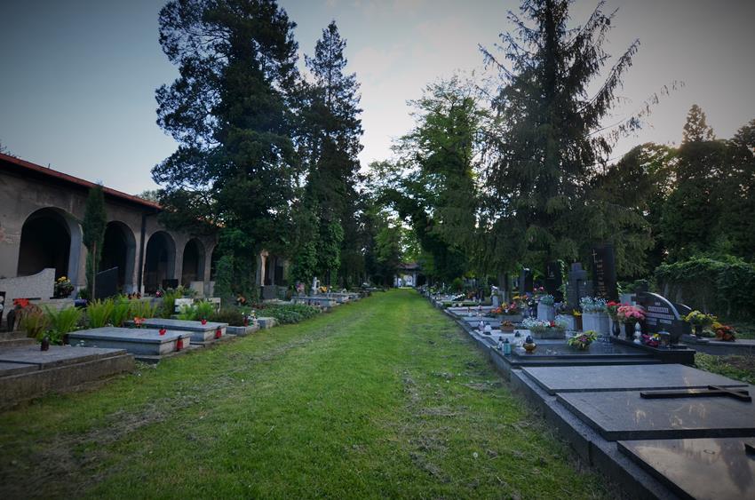 Na cmentarzu (3).JPG