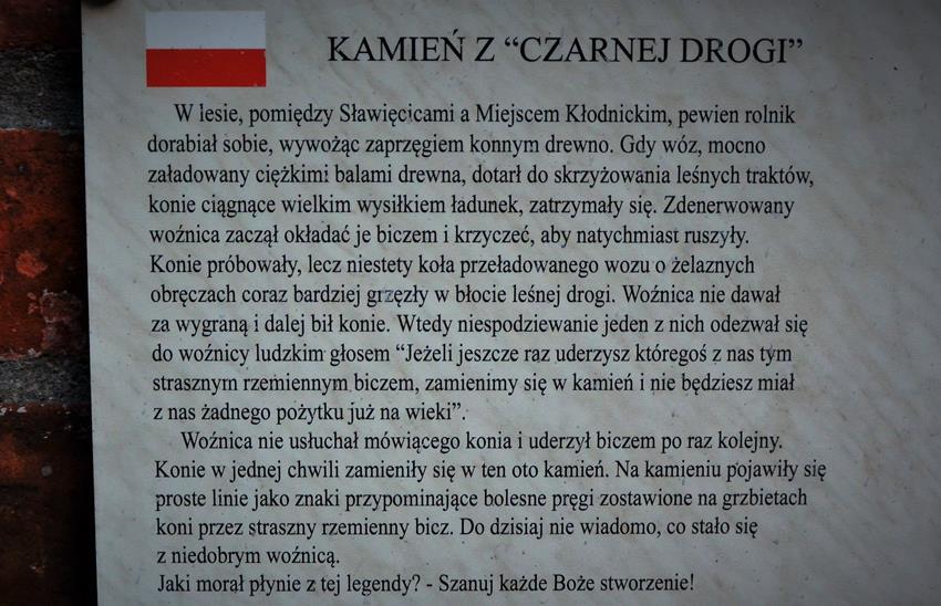 Kamień z Czarnej Drogi (1).JPG