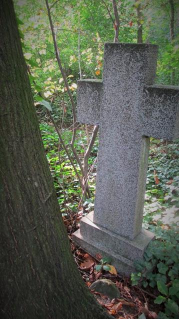 Cmentarz ewangelicki (1).jpg