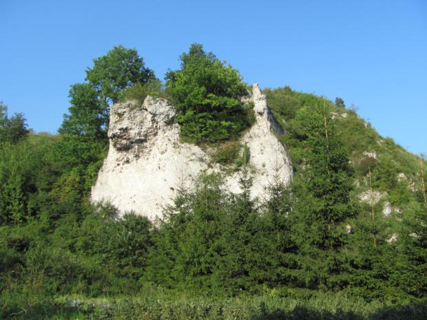 Wzgórze Łakota wznosi się stromiznami ponad 30 metrów nad Doliną Dłubni.JPG