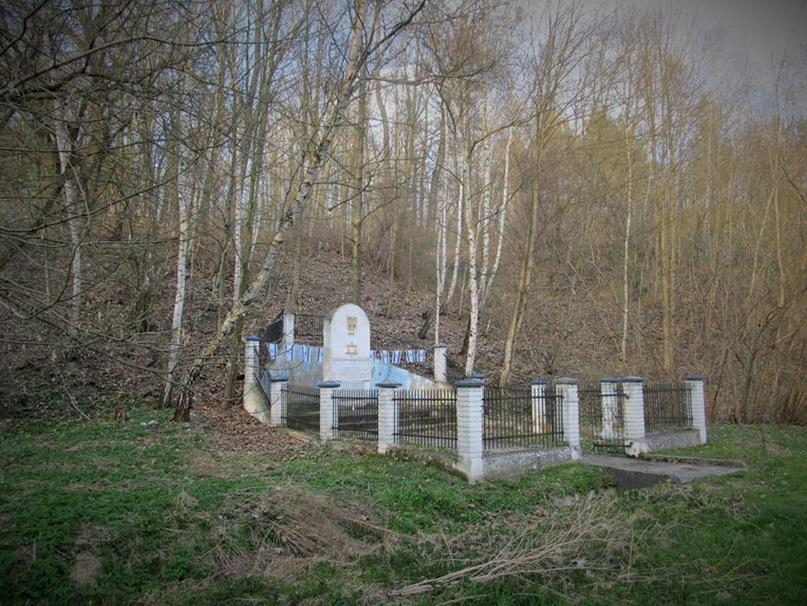 Działoszyce - cmentarz żydowski (1).jpg