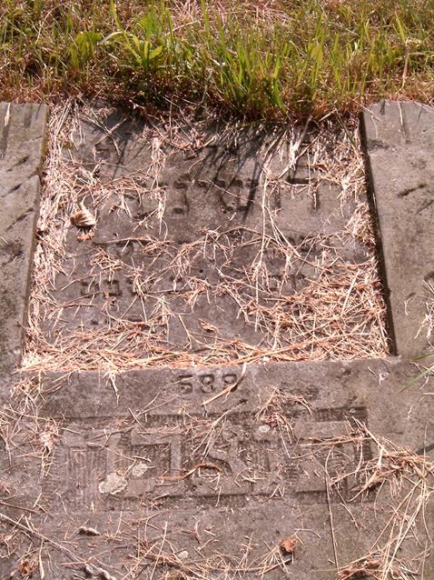 Cmentarz żydowski, rok 2005 (9).jpg