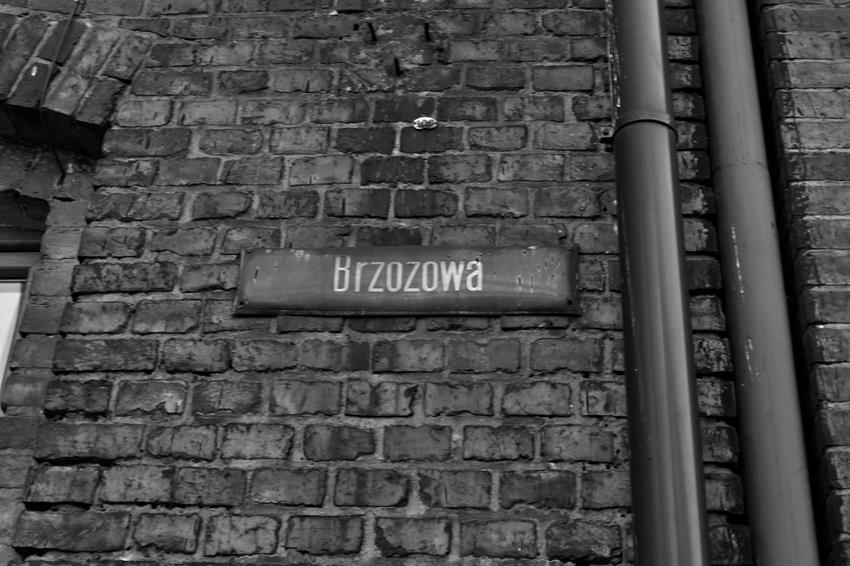 Ulica Brzozowa (1).JPG